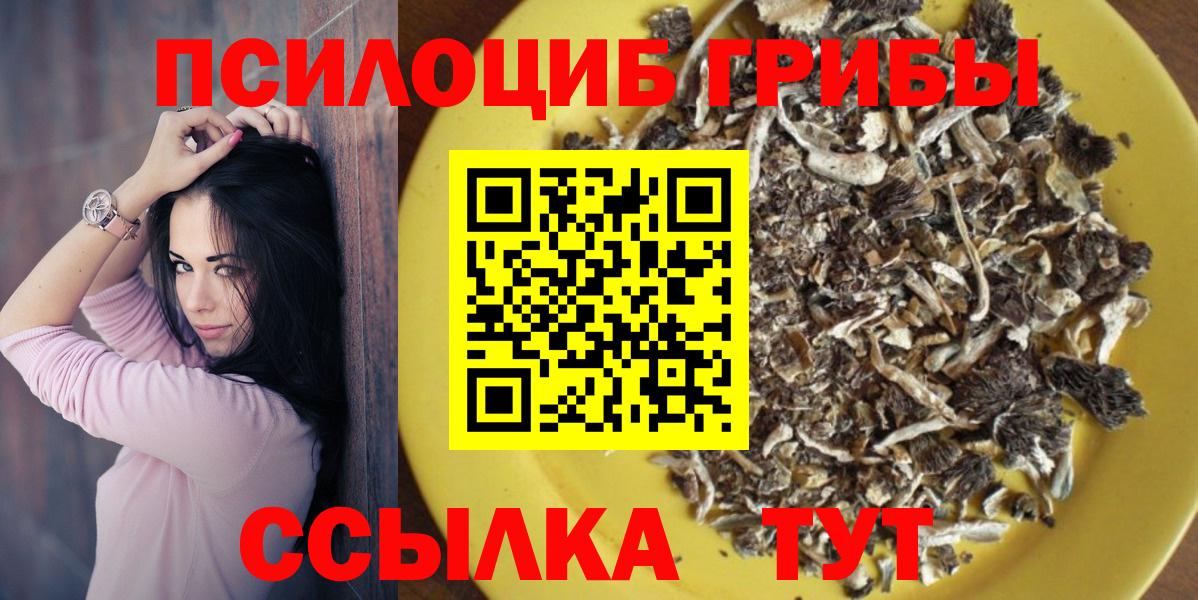 Галлюциногенные грибы Psilocybe  Вход с VPN  Кимры 